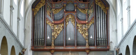 18.08.2017 – Международные органные концерты в Констанце 2017(Германия)